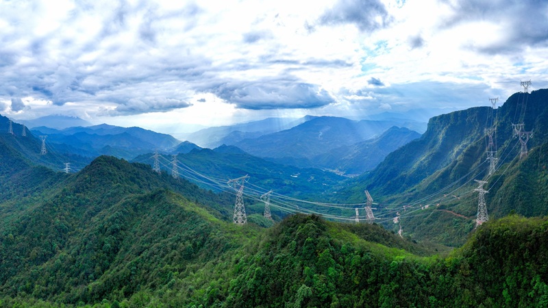 公司黨組理論學(xué)習(xí)中心組集體學(xué)習(xí)中央經(jīng)濟(jì)工作會議精神