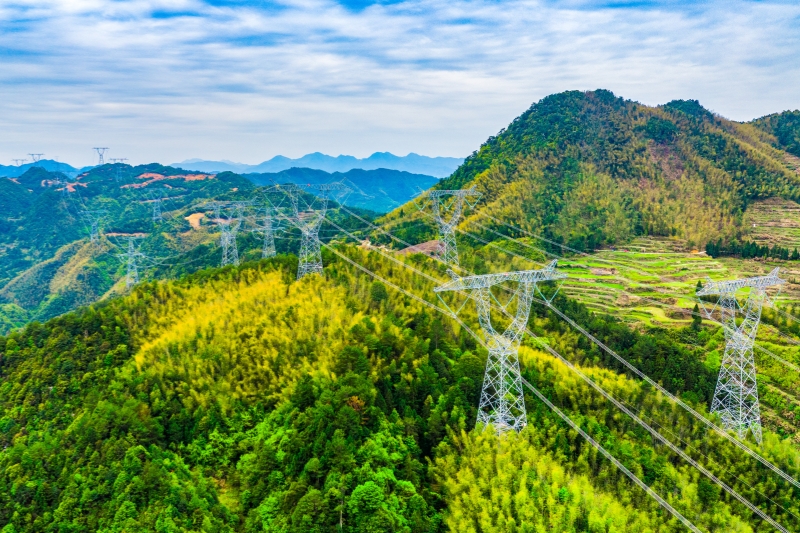 公司品牌入選中央企業(yè)品牌引領行動優(yōu)秀成果