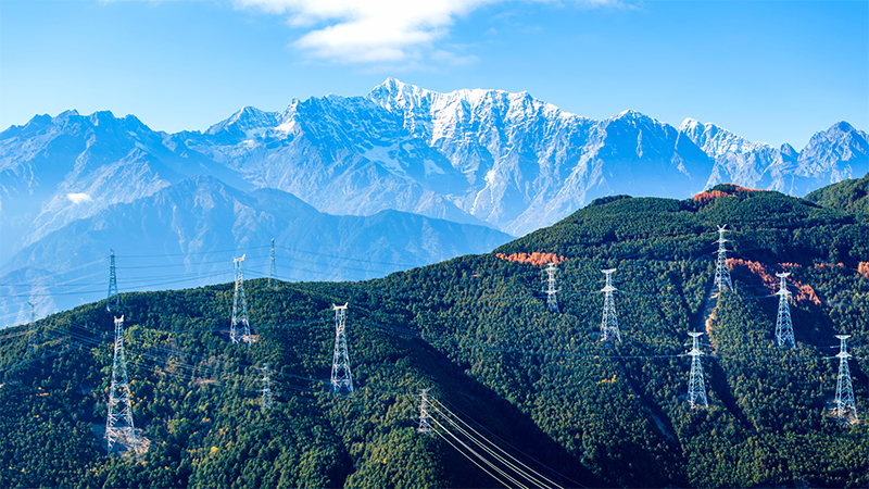 公司分層次分區(qū)域分專業(yè)調(diào)研座談會召開