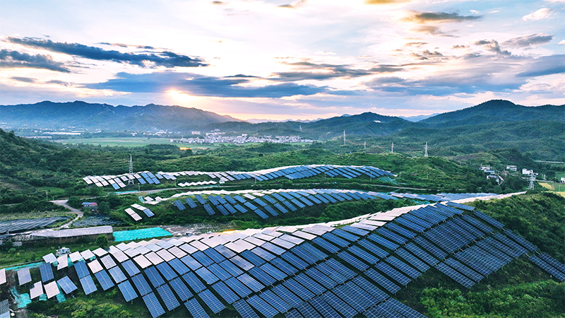 公司分層次分區(qū)域分專業(yè)調(diào)研座談會召開