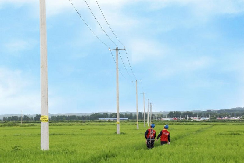 沿著總書記的足跡|長(zhǎng)白山下電足稻米香