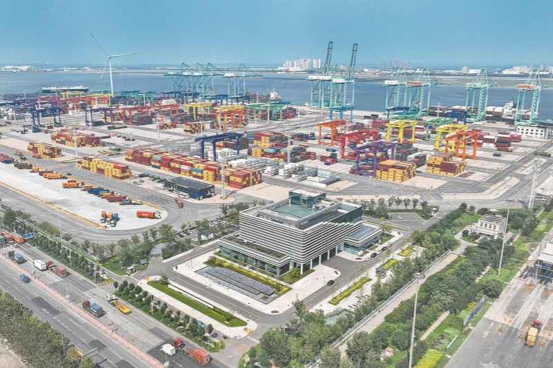 新春走基層|沽上尋綠 港口向新