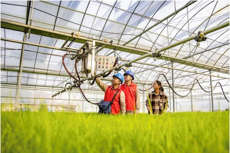 堅(jiān)持黨的領(lǐng)導(dǎo) 以高質(zhì)量黨建引領(lǐng)保障高質(zhì)量發(fā)展