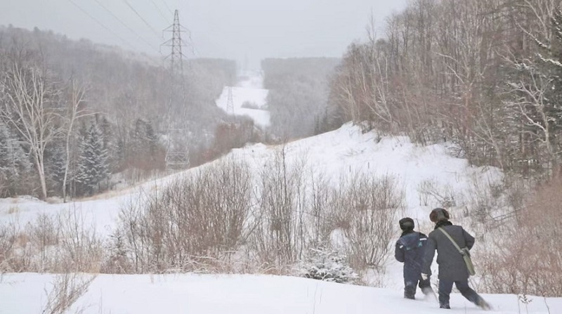 公司黨組傳達(dá)學(xué)習(xí)貫徹習(xí)近平總書記近期重要指示精神