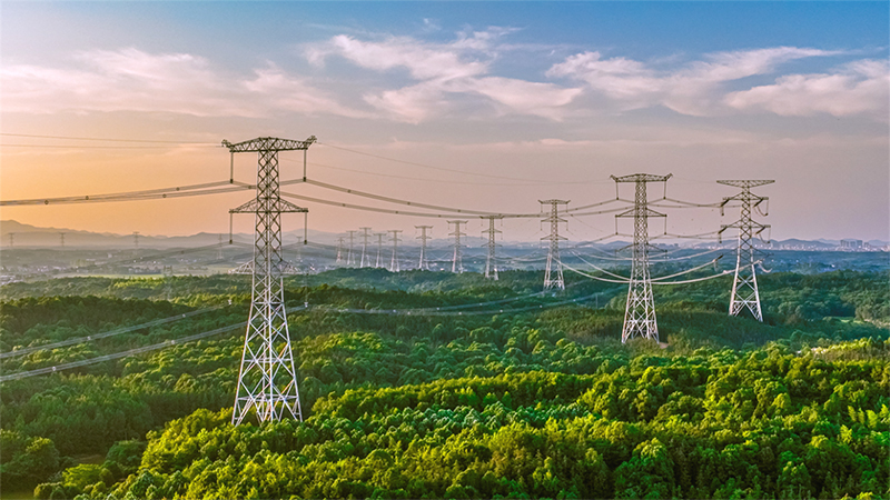 公司舉行2025年老同志新春茶話會(huì)