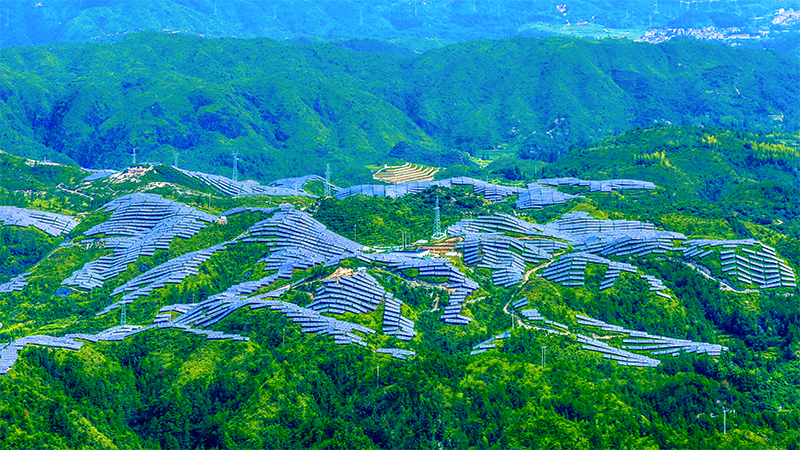 公司舉行2025年老同志新春茶話會(huì)