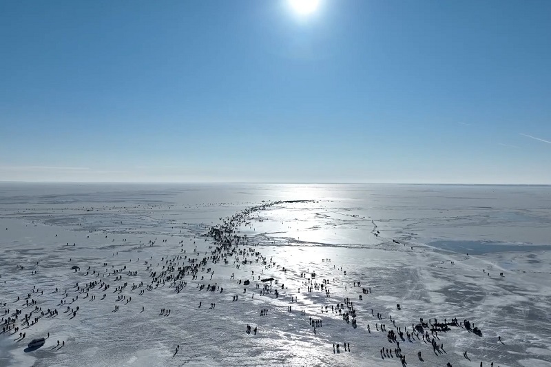 新春走基層|冰湖騰魚電助豐收