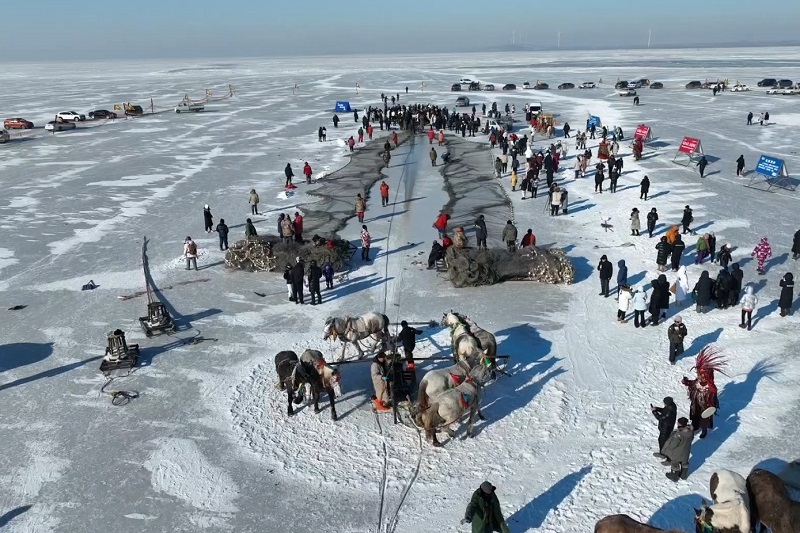 新春走基層|冰湖騰魚電助豐收